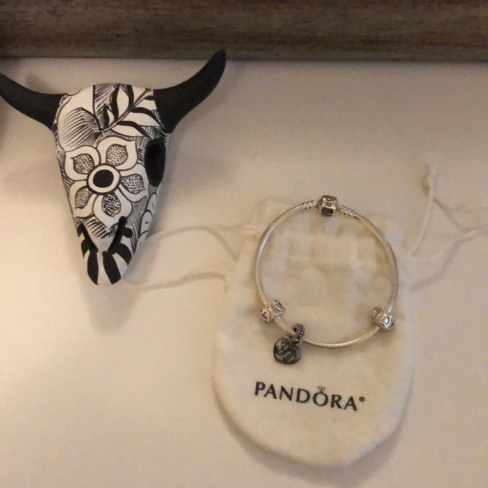 Pandora 7” silver 30 charm bracelet